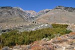 The trail follows the greenery snaking up the mountain, which hides Taboose Creek rushing down from perennial snowfields high above. 