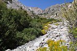 Finally, after 3 hard-won miles, the mountain begins to reveal a passage that becomes Taboose Pass. Most climbers break for the evening at one of the numerous creekside campsites in this stretch but I press on.