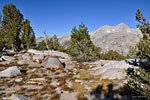 Making camp near a lively stream on the western flank of Taboose Pass. In the distance, the peaks of Cartridge Pass.
