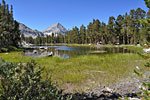 A steady ascent through woods and meadows and then the first of several lakes on the trail to Bench Lake.