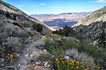 Clouds swirl in and purple shadows quickly fill the Owens Valley.
