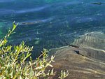 The crystal clear water is full of trout, mostly 10-12in. long.