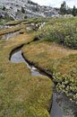 This kind of manicured-looking landscape is common throughout the Sierra