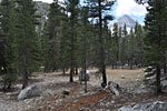 Looking south from the beginning of the trail up - the clearing & spherical boulder