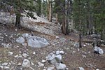 Beginning of trail up is almost invisible