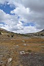 Back up to Taboose Pass as a weather front moves in 
