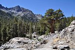 West of Shadow Lake, the route follows the John Muir Trail into Ansel Adams Wilderness