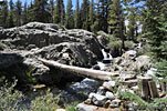 Hewn logs bridge