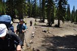 Climbing into Shasta-Trinity Wilderness