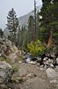 The creekside path above 2nd Falls